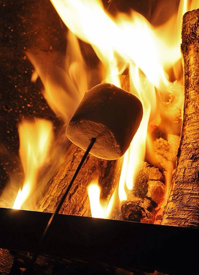 Close up of a marshmallow near a campfire.